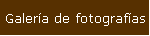 Galera de fotografas
